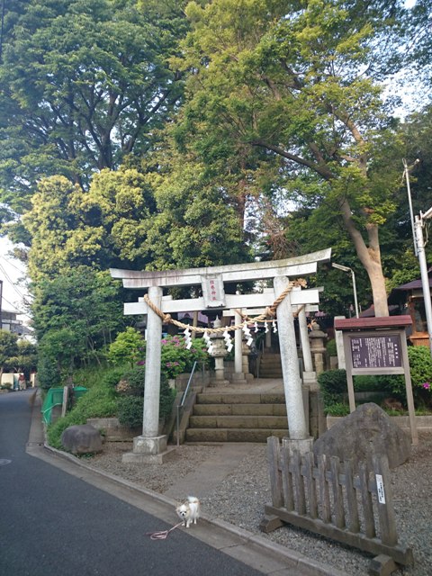 周辺