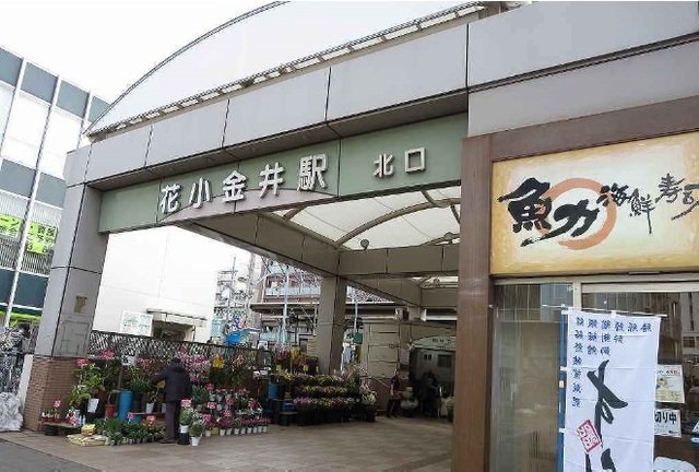 周辺